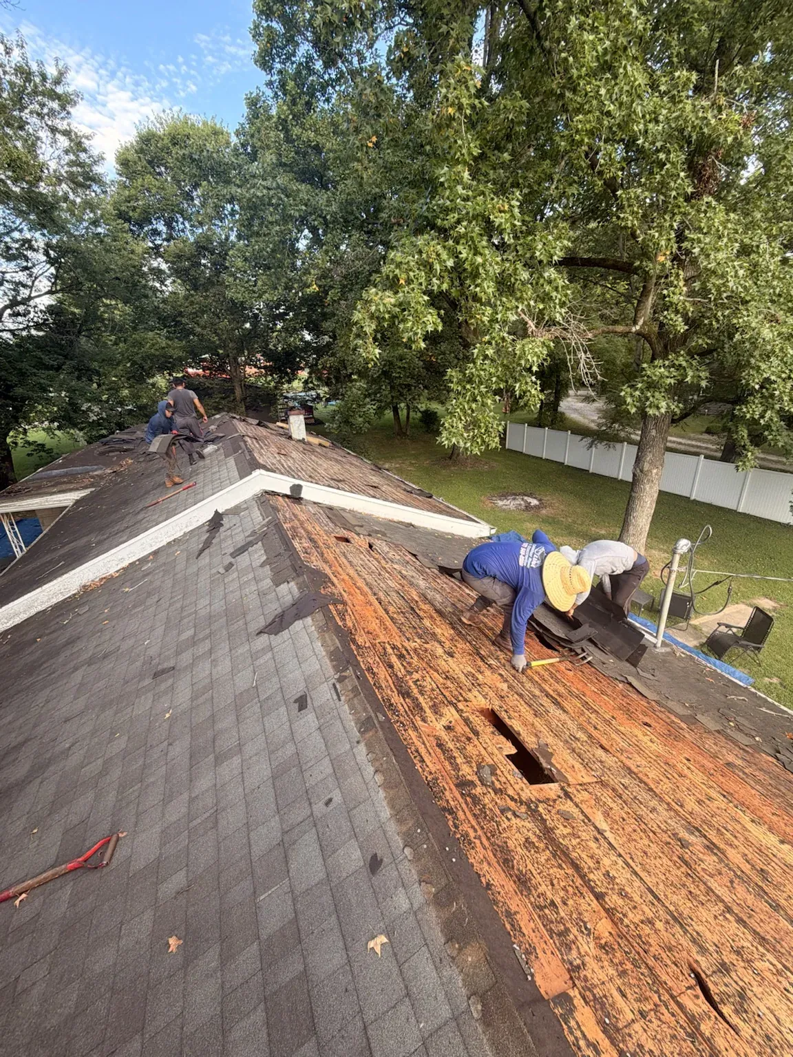 Tear-off in progress under large shade trees, with old shingles coming off to reveal weathered, damaged board decking, including a rotted opening
